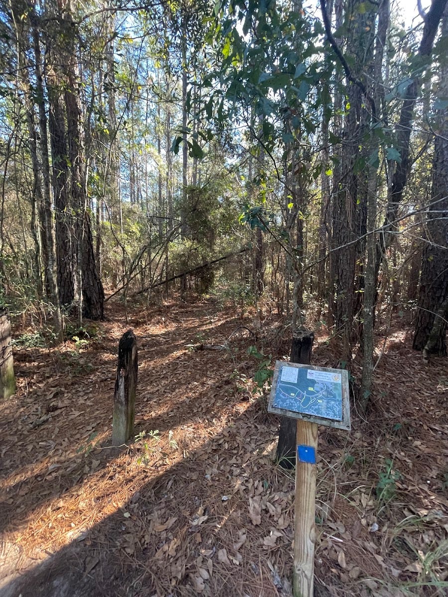 Benjamin J Estrada Eagle Scout Walking Trail