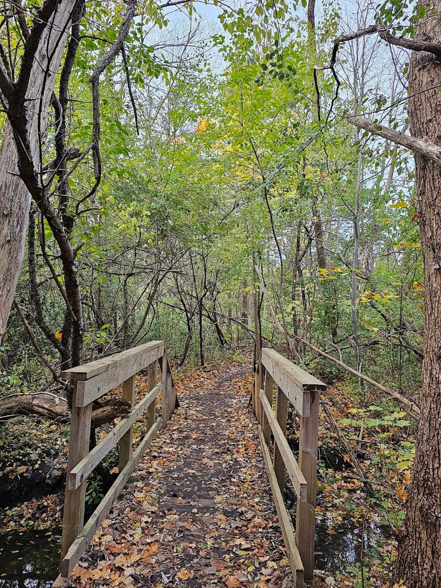 West Don Parkland