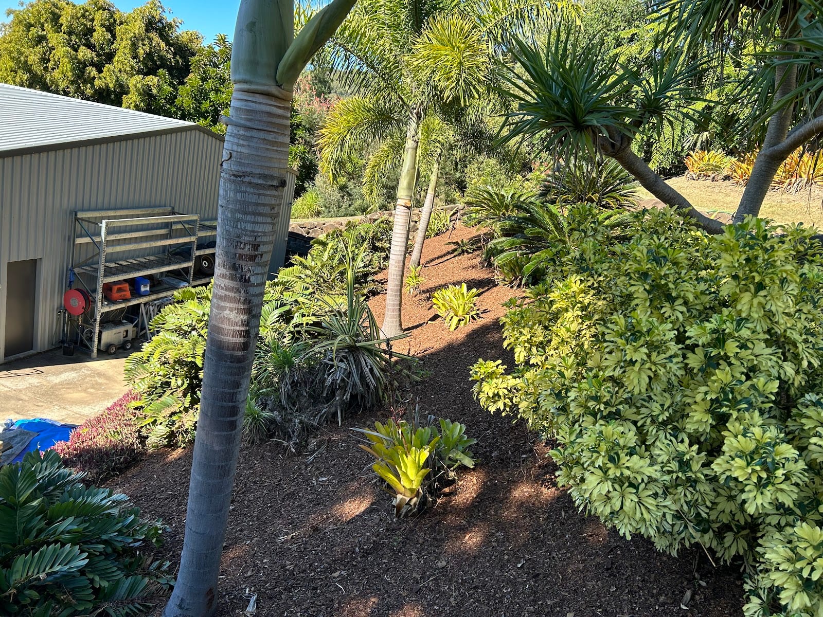 Mad Dog Maintenance Services Mackay, photo 3