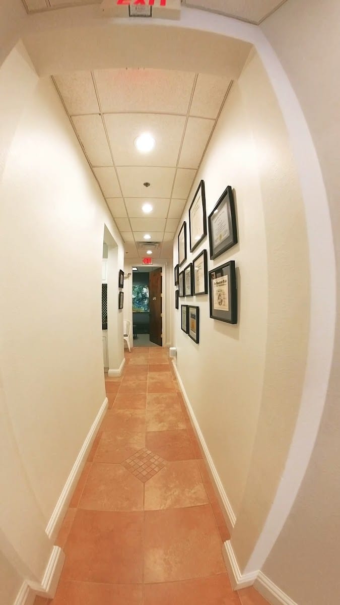 Vertical Chiropractic, photo 4