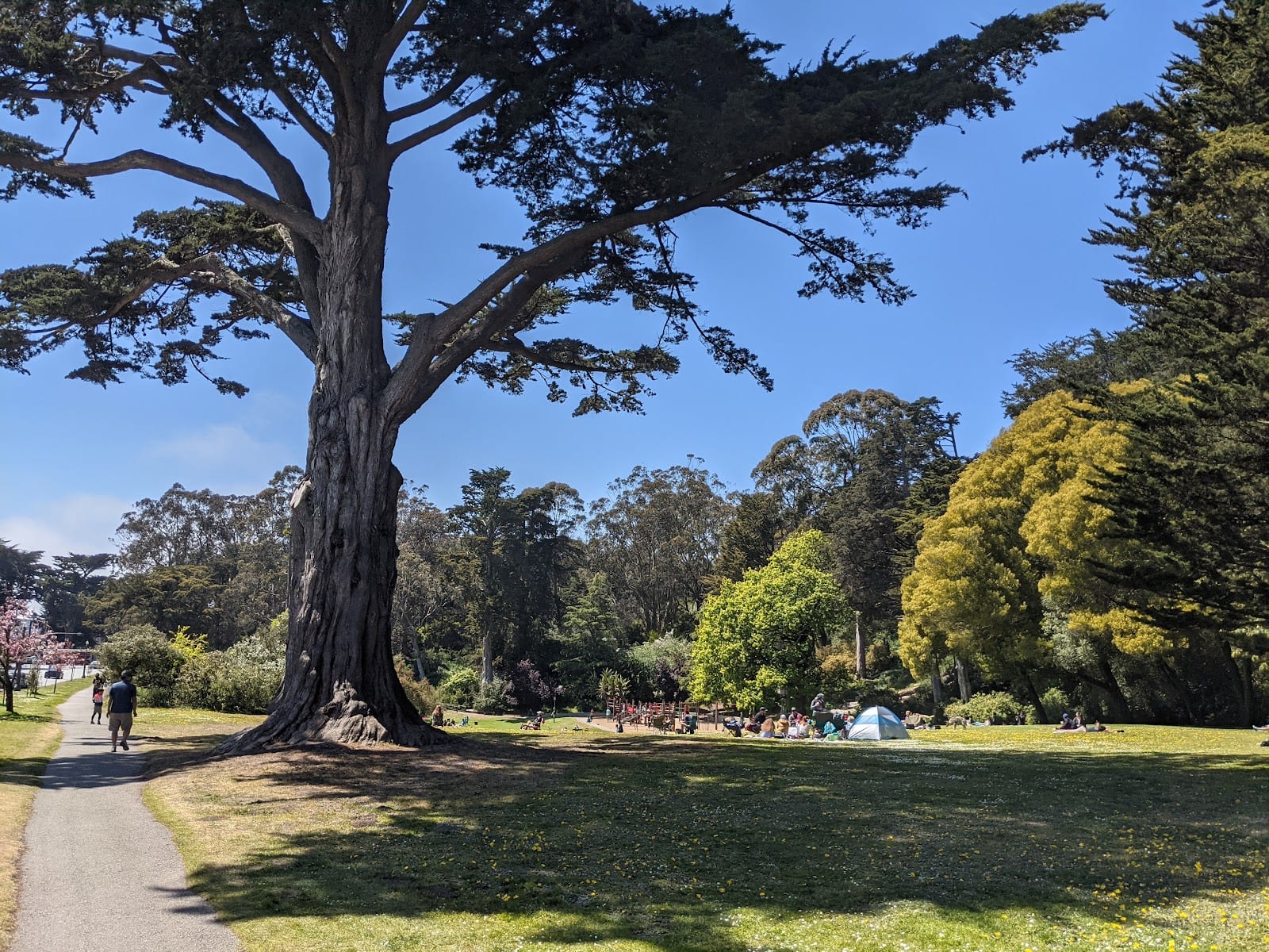 Mothers Meadow, photo 3