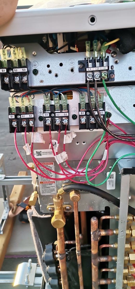Red maple electric, photo 3