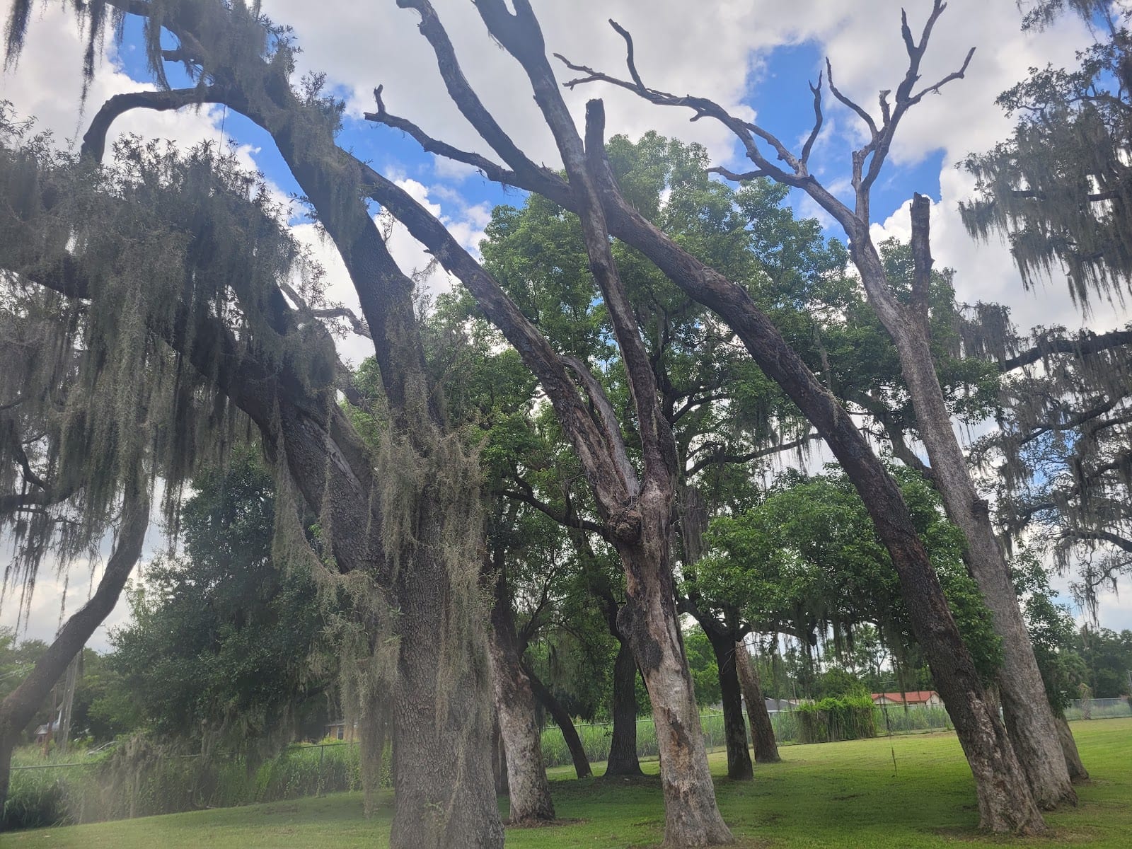 Alfred "Al" Barnes Park
