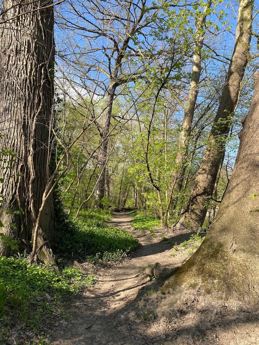 Rivergreenway