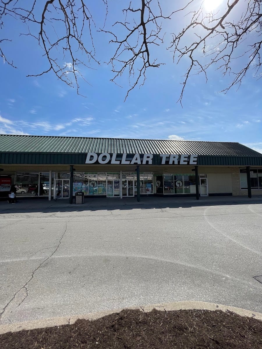 Dollar Tree, photo 3