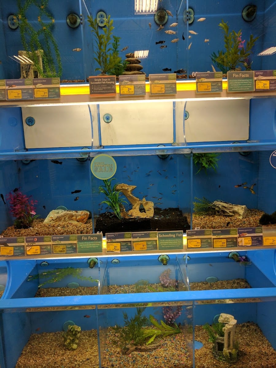 PetSmart, photo 2