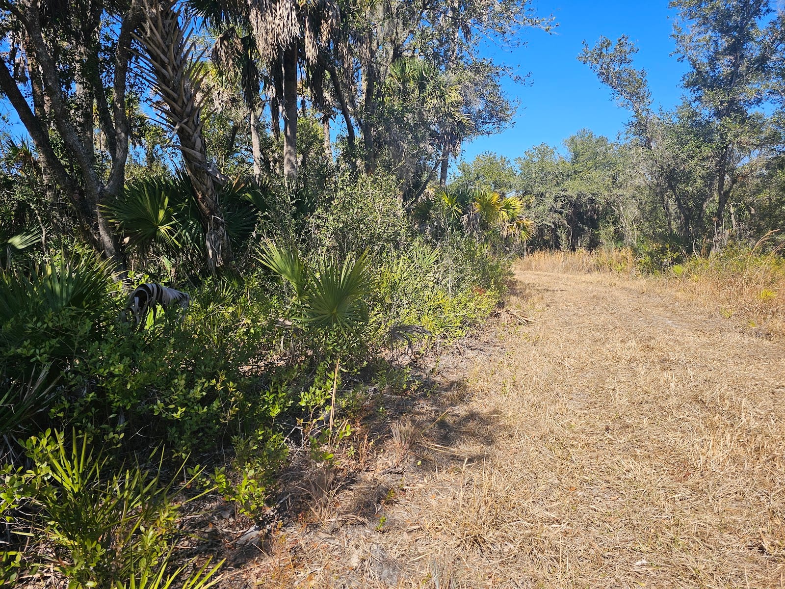 Orange Hammock Wildlife Management Area
