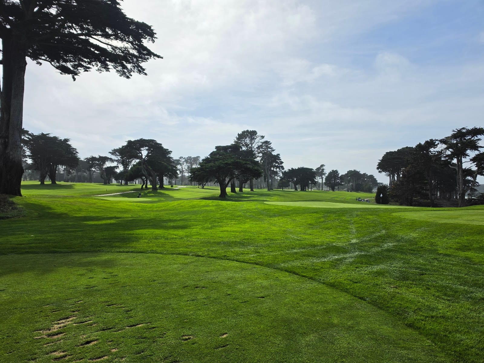 TPC Harding Park, photo 4