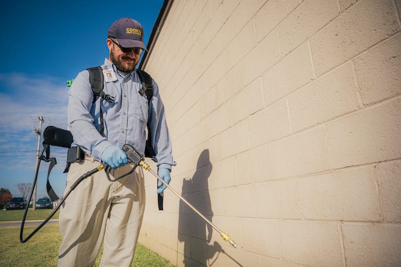 Cook's Pest Control, photo 4