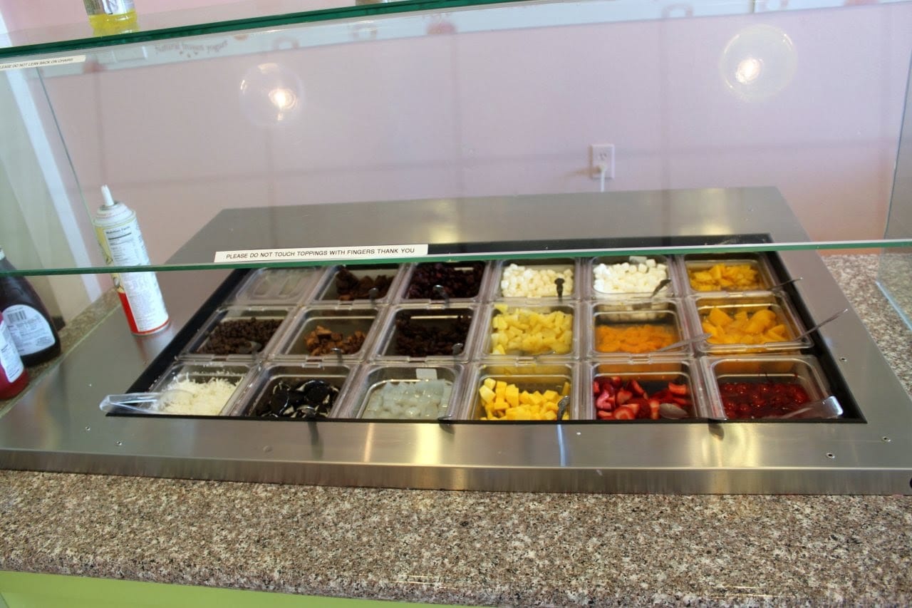 DJ'S YOGURT STOP, photo 2