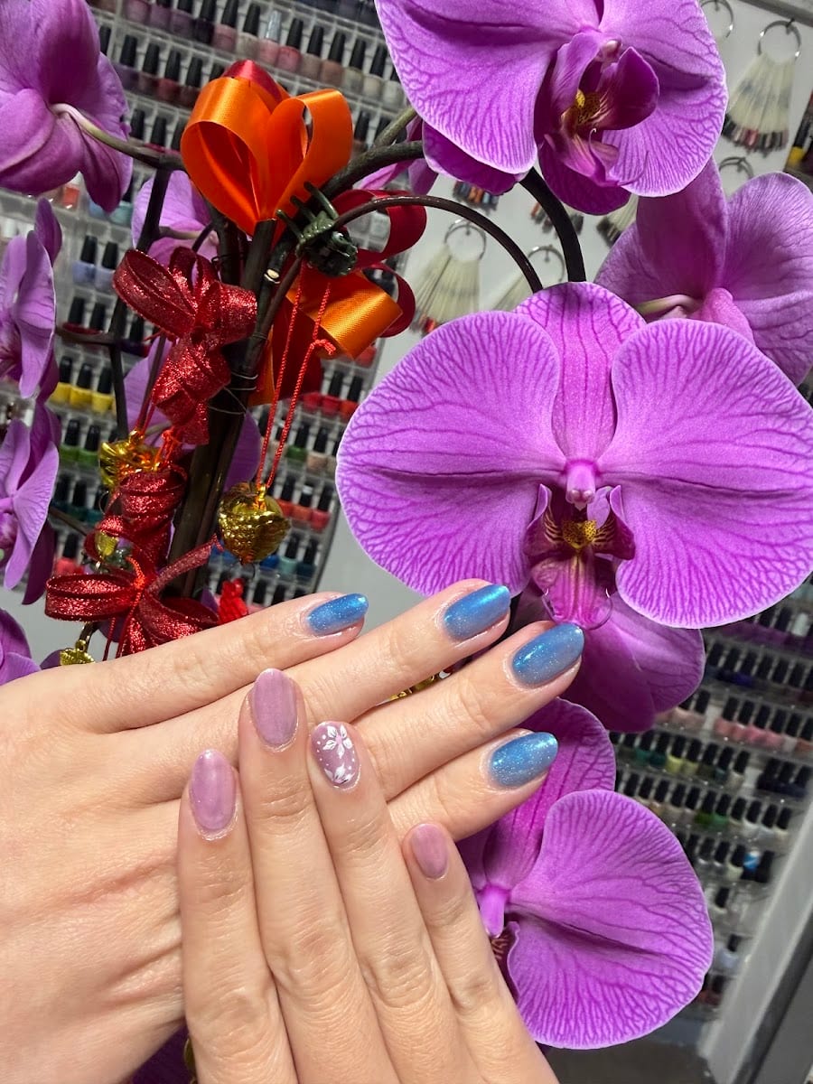 Tootsie Toes, photo 4