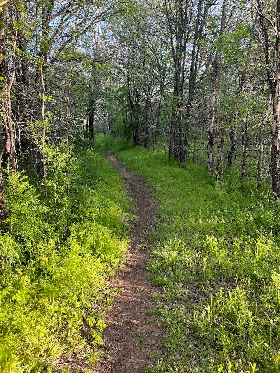 Veal Springs Branch Trail Head