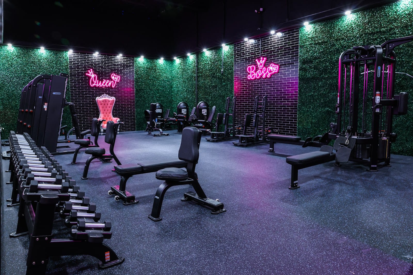Amped Fitness (Tuttle), photo 2
