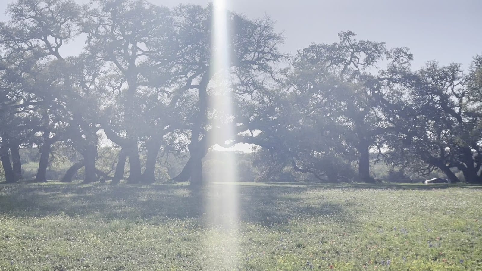 Old Baylor Park, photo 2