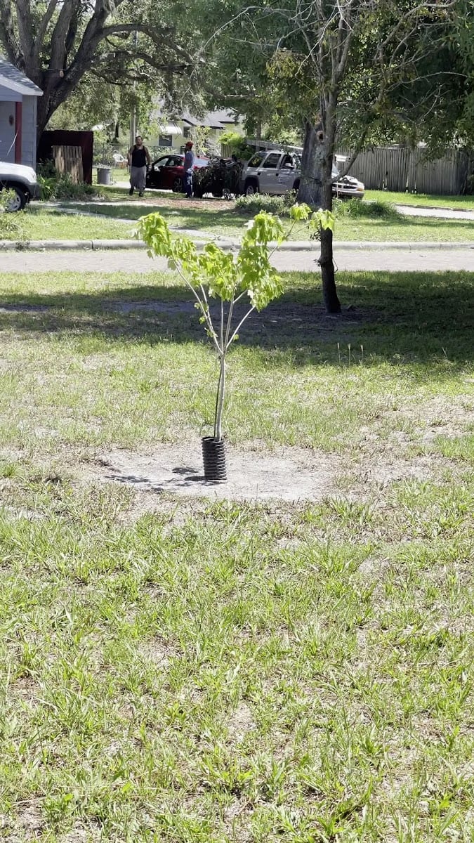 Freedom Park, photo 2
