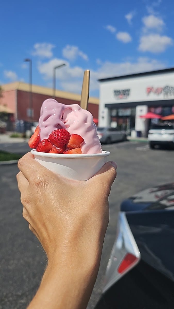 Golden Spoon Frozen Yogurt