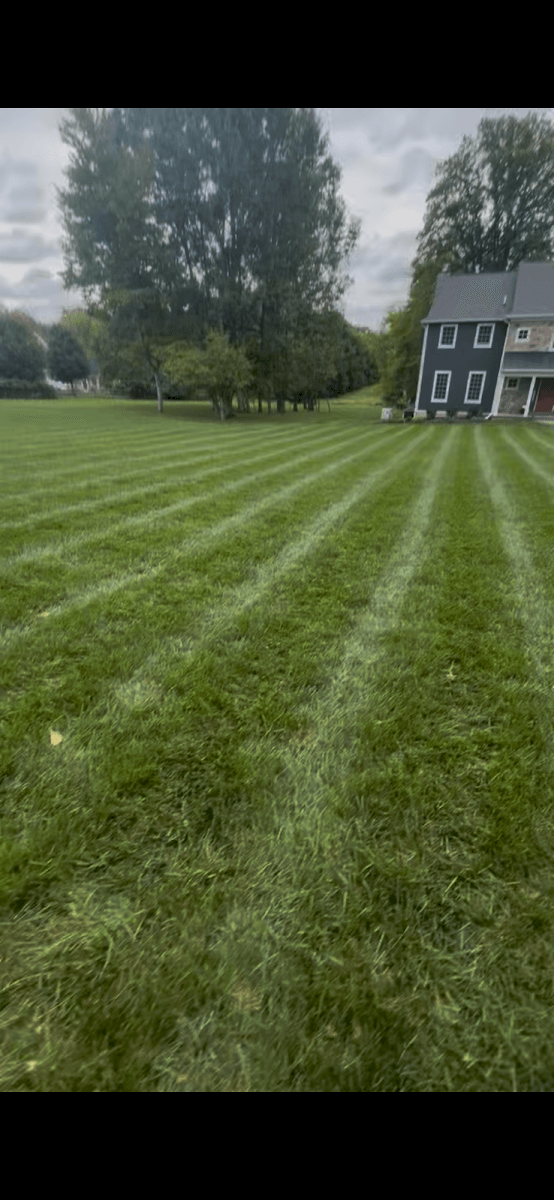 Lawn Depot Turf Management