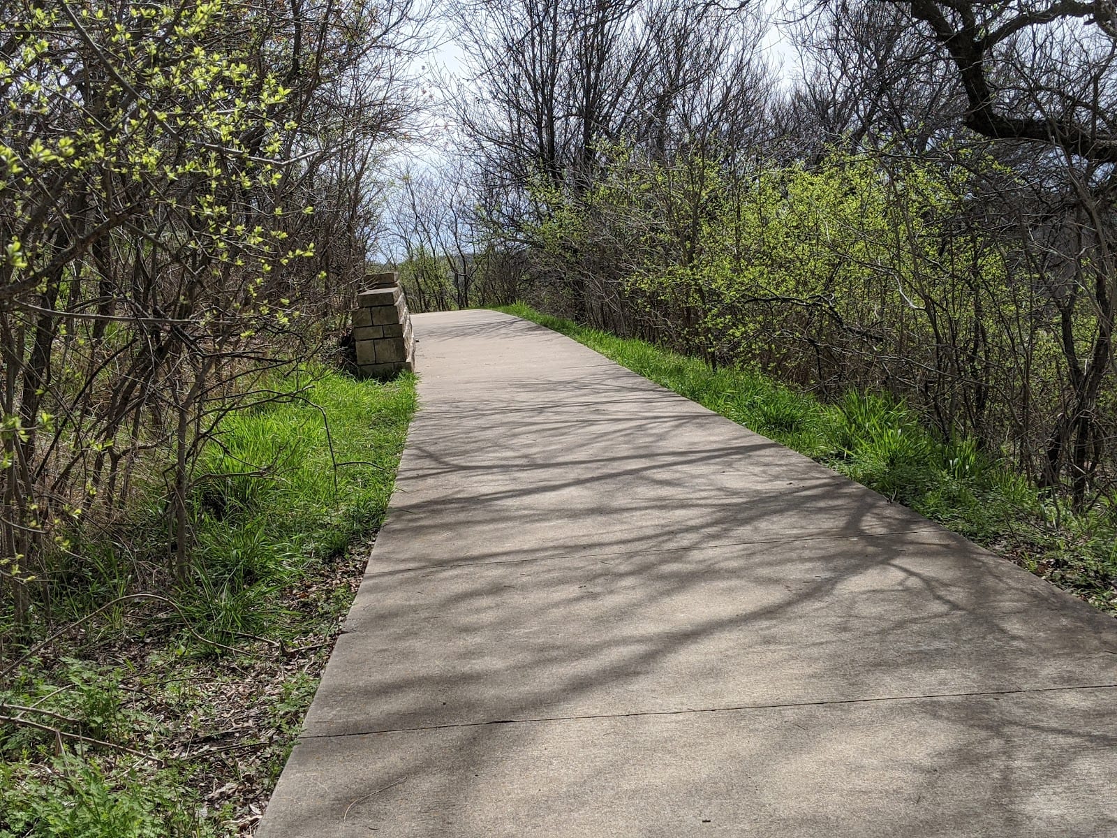 Arbor Hills Nature Preserve, photo 3