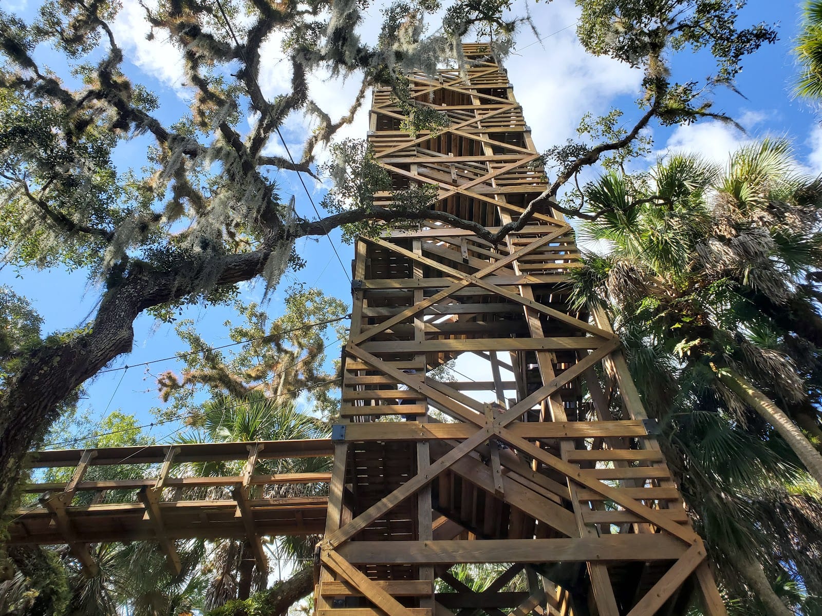Myakka Canopy Walkway and Observation Tower