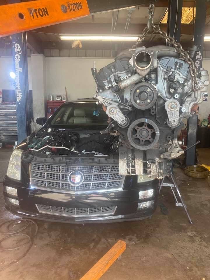 Citrus park auto repair