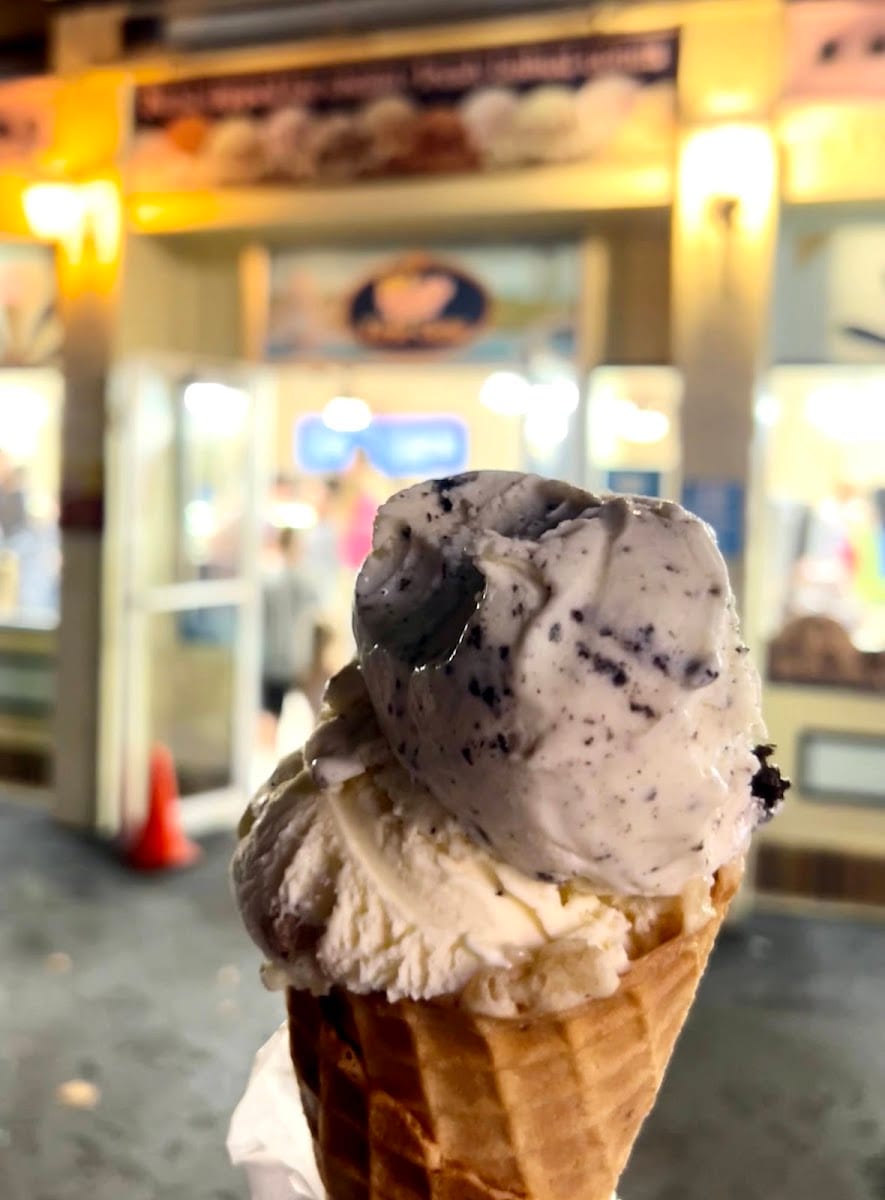 First Cone, photo 3
