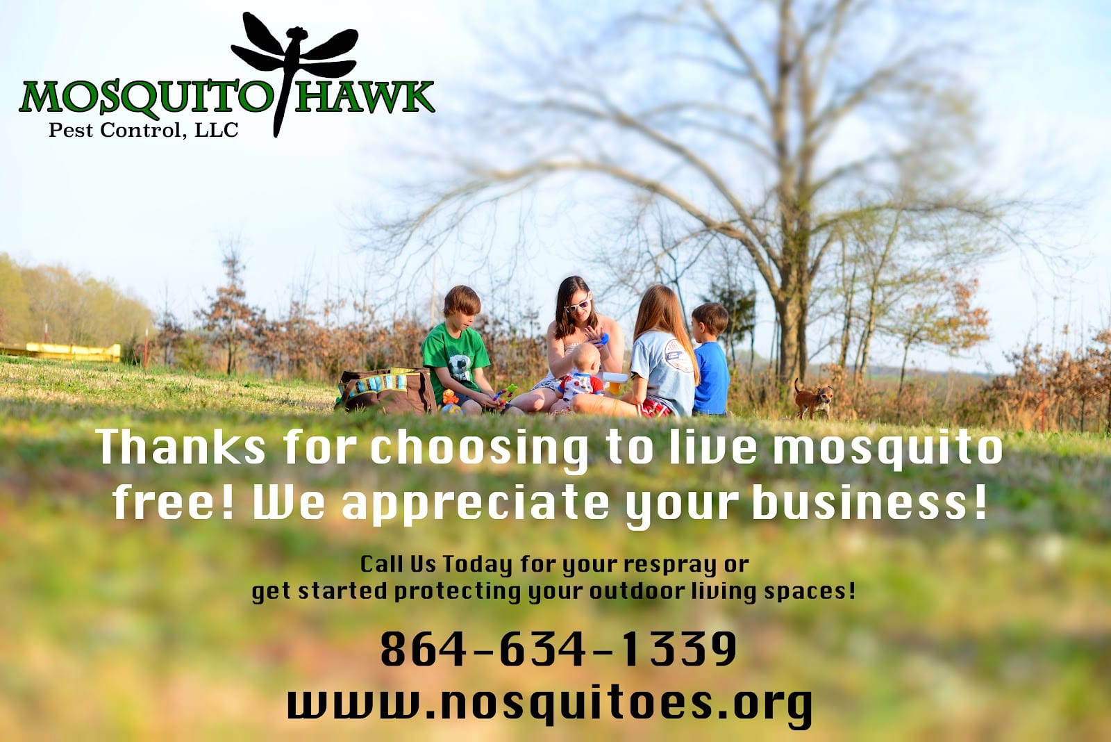 Mosquito Hawk Pest Control, photo 4