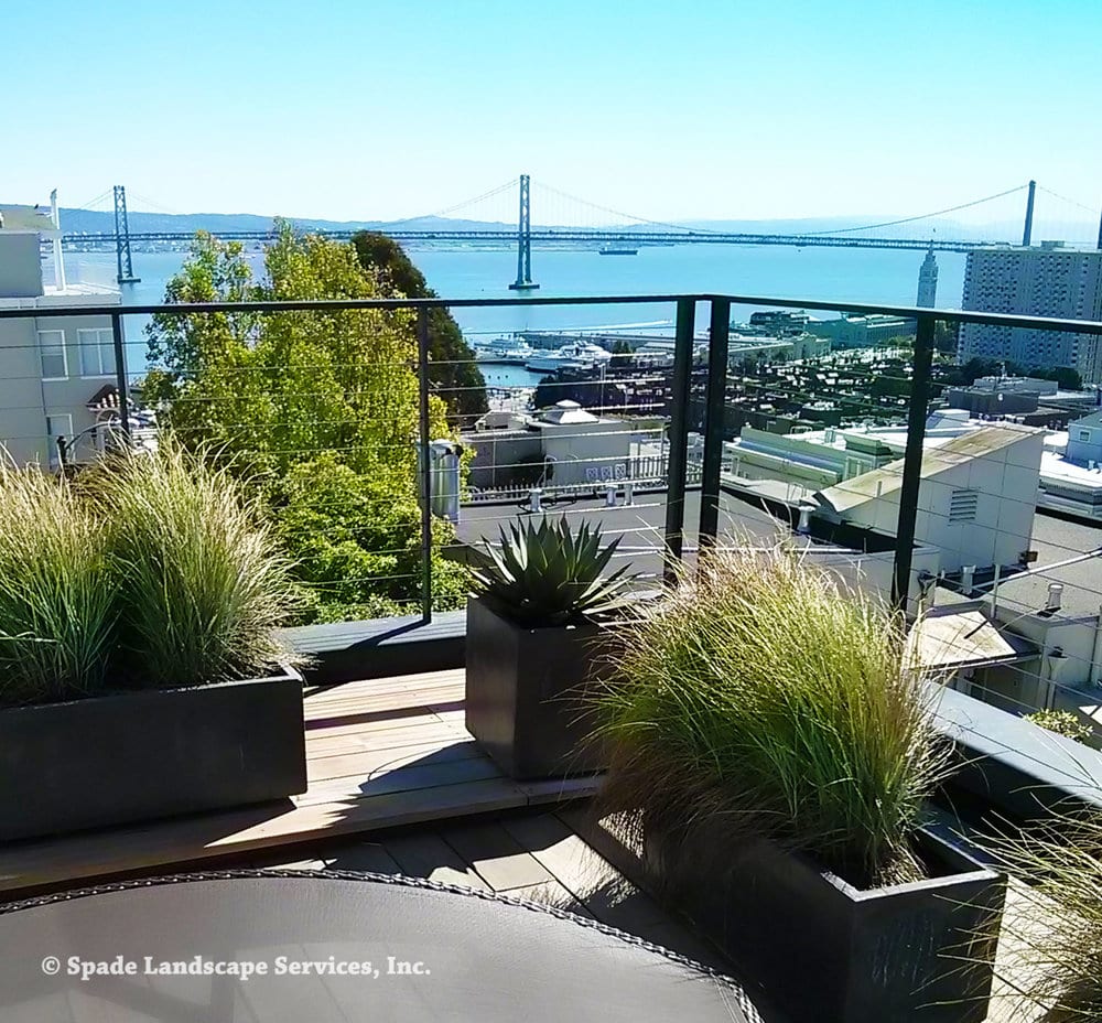 Spade Gardens & Landscaping, photo 2