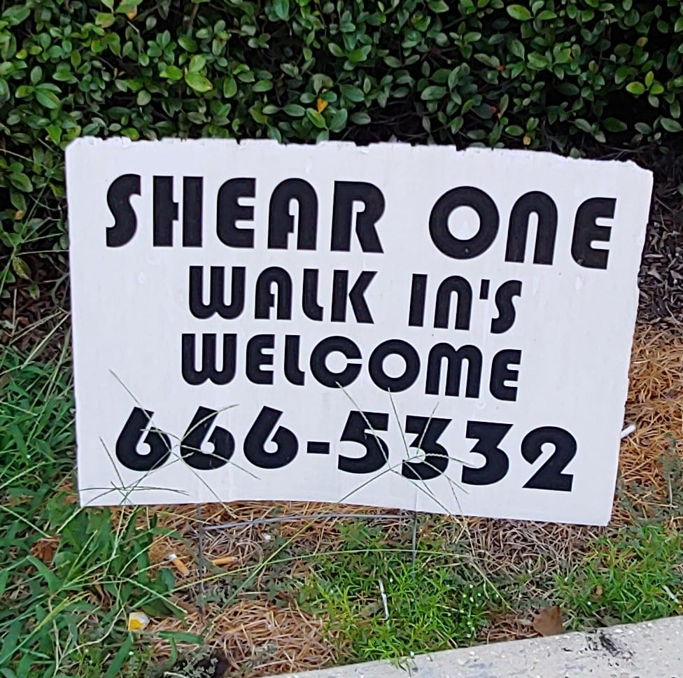 Shear One