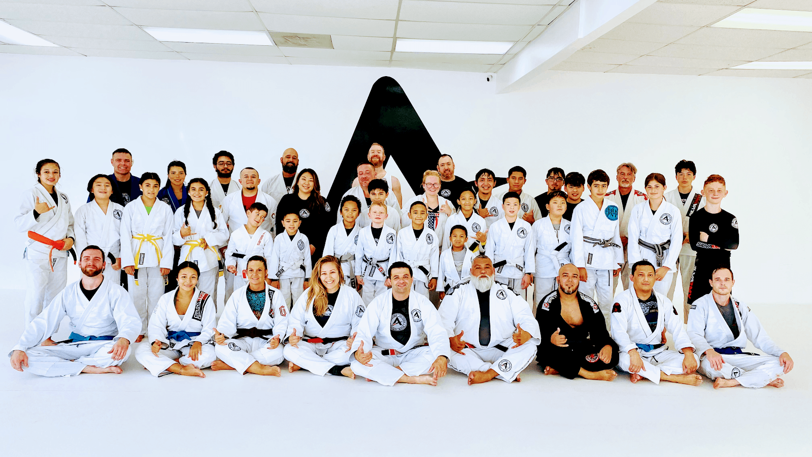 Silva Academy Brazilian Jiu-Jitsu, photo 2