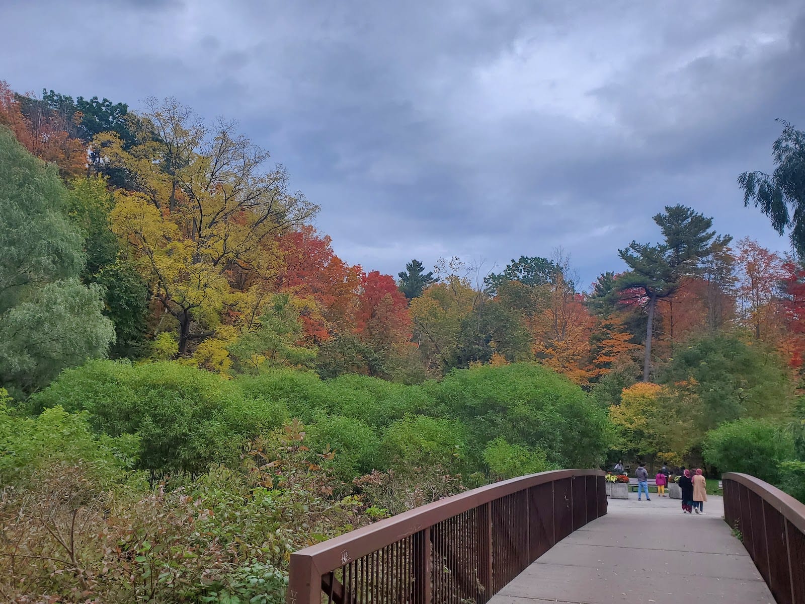 Wilket Creek Recreational Trail