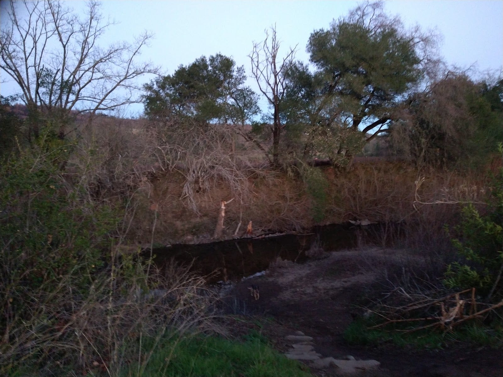 Walking Path, photo 3