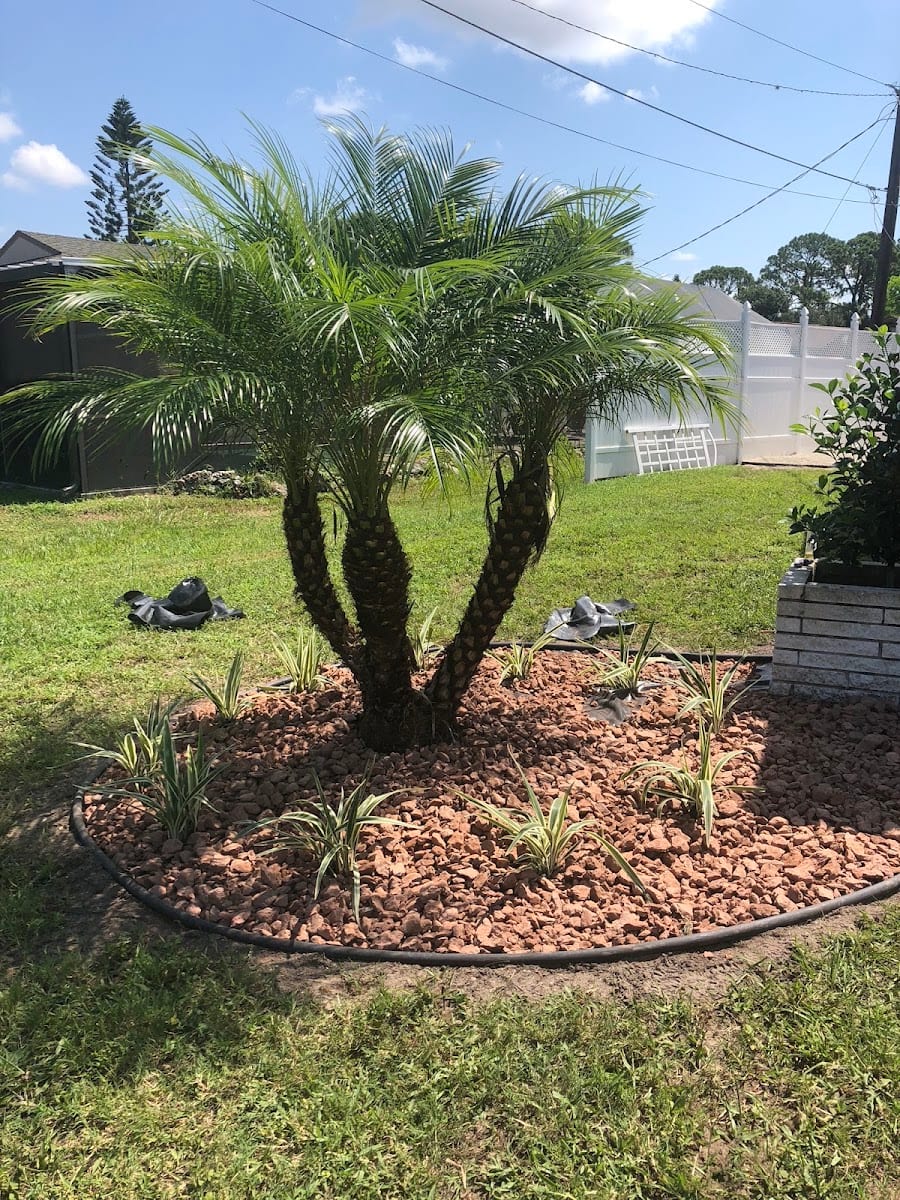 Exotic Landscape Design Inc, photo 3