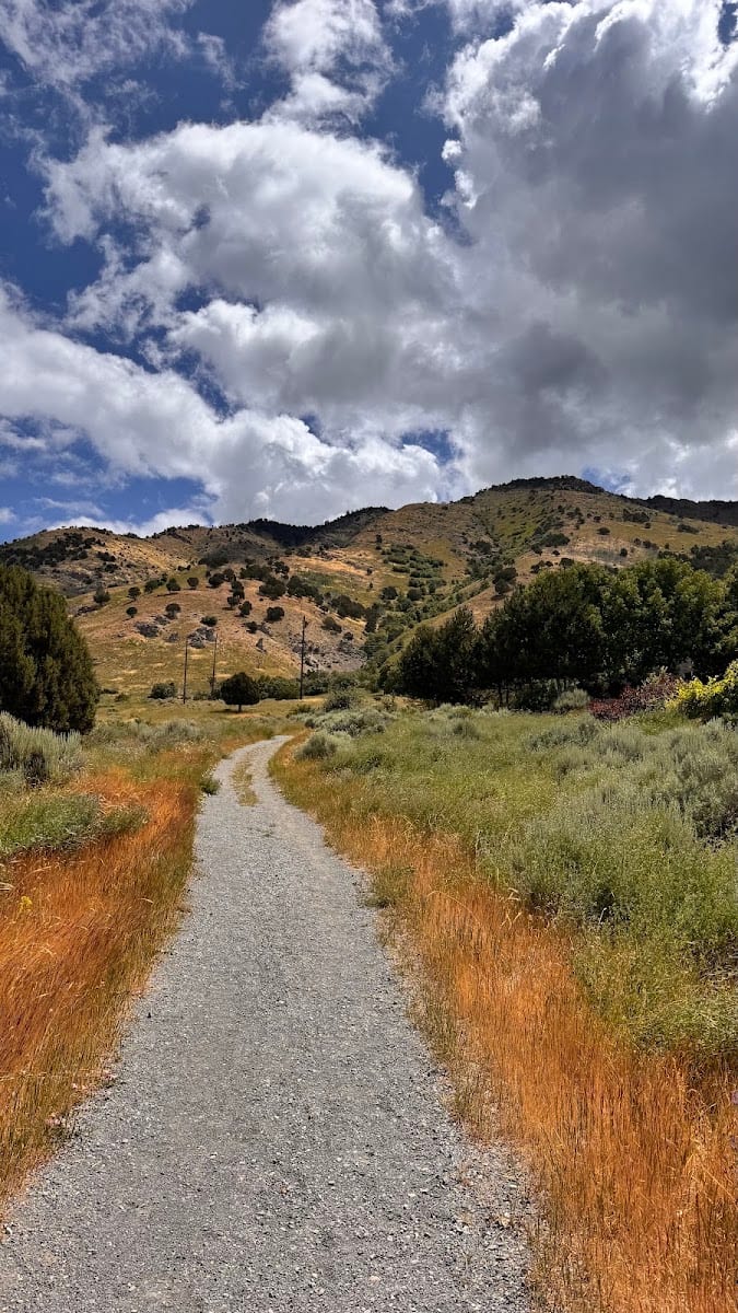 Bonneville Shoreline Trailhead