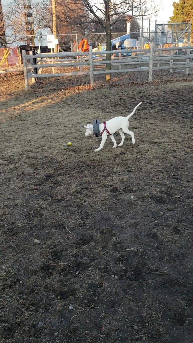 Woolner Dog Park, photo 2