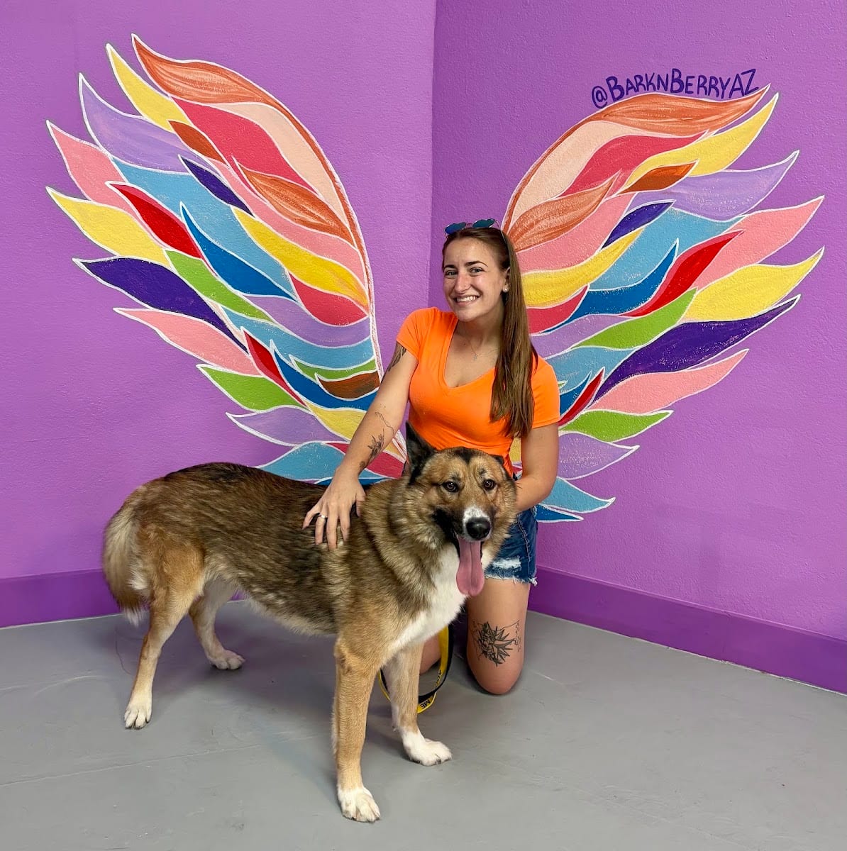 BARK 'N BERRY, photo 3