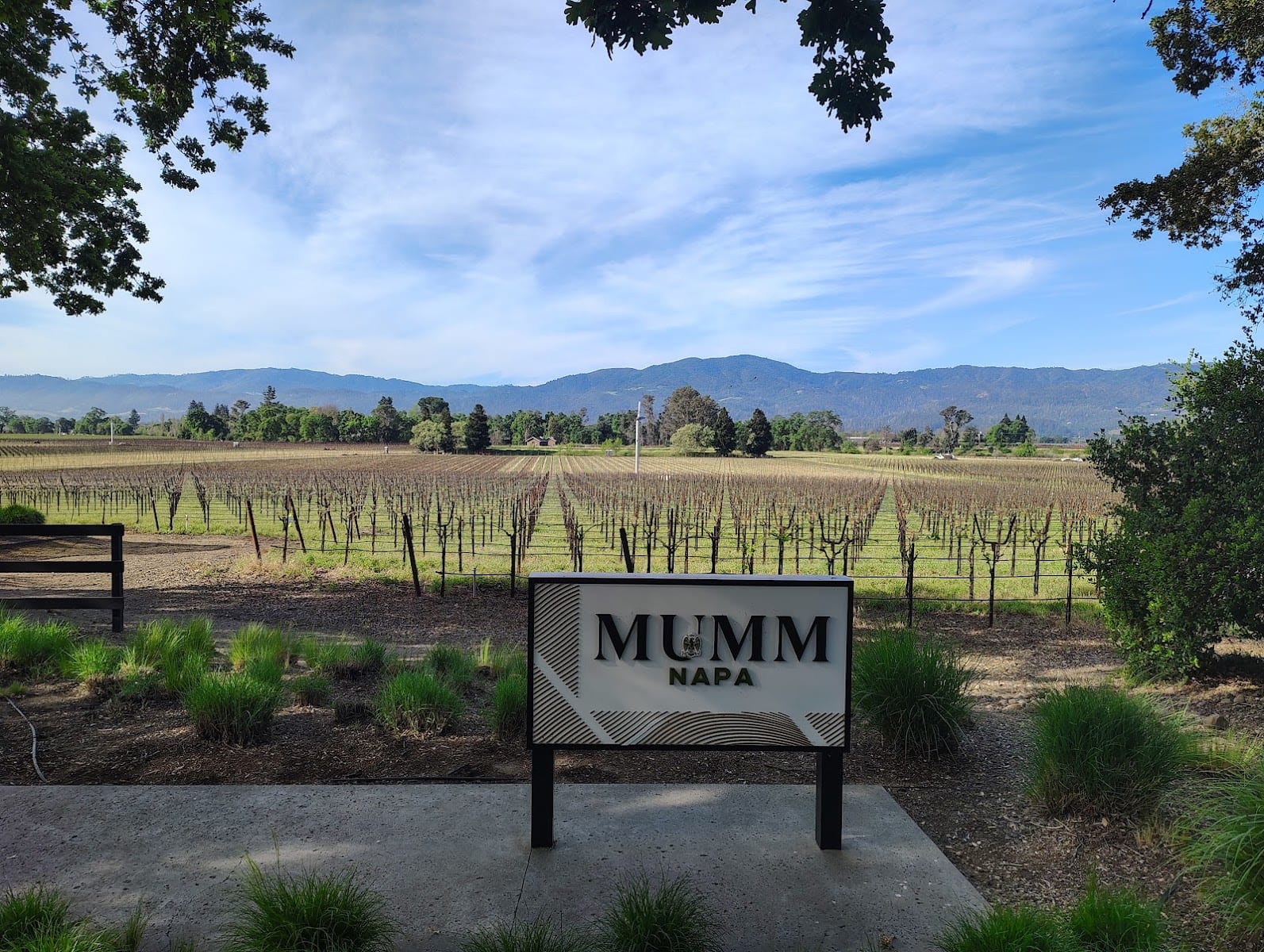 Mumm Napa, photo 4