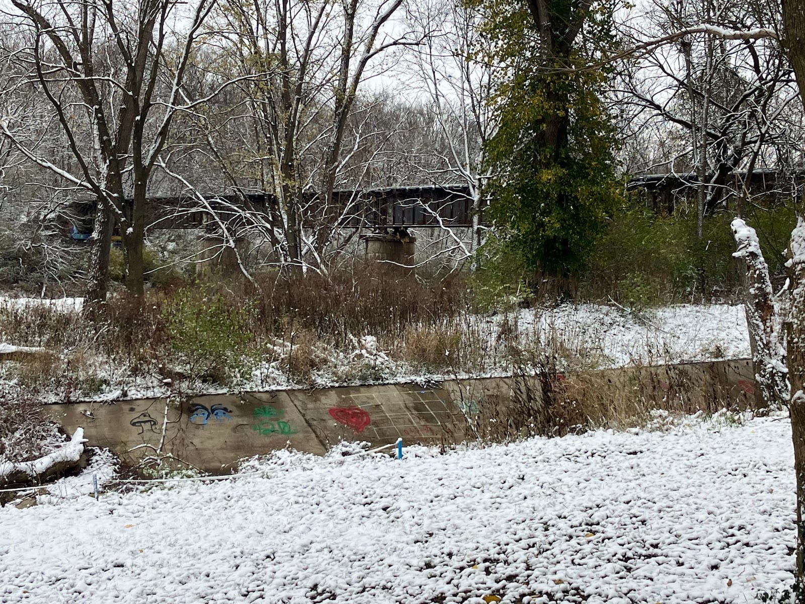 Derby Downs Trails, photo 2