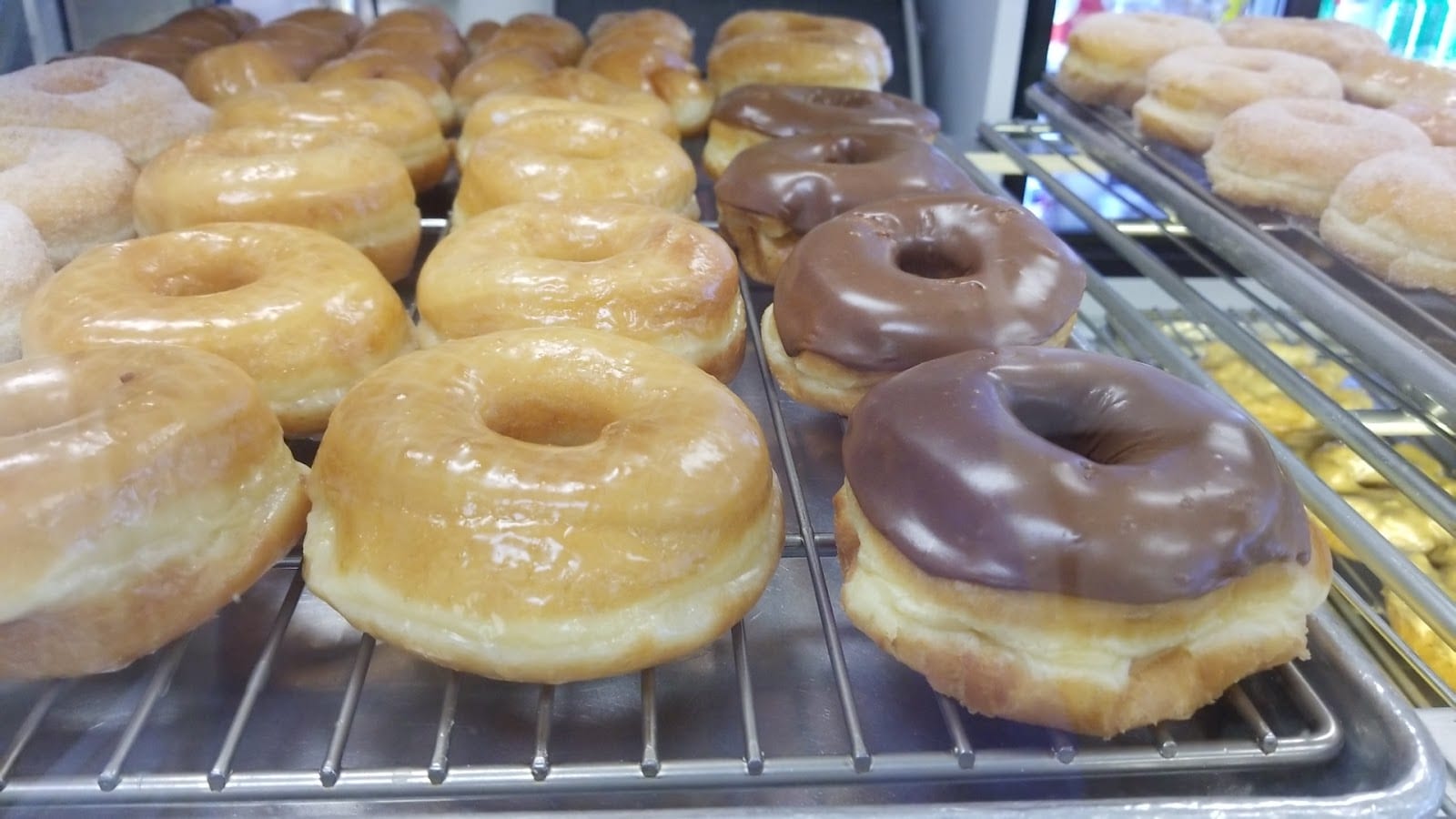 Donut World