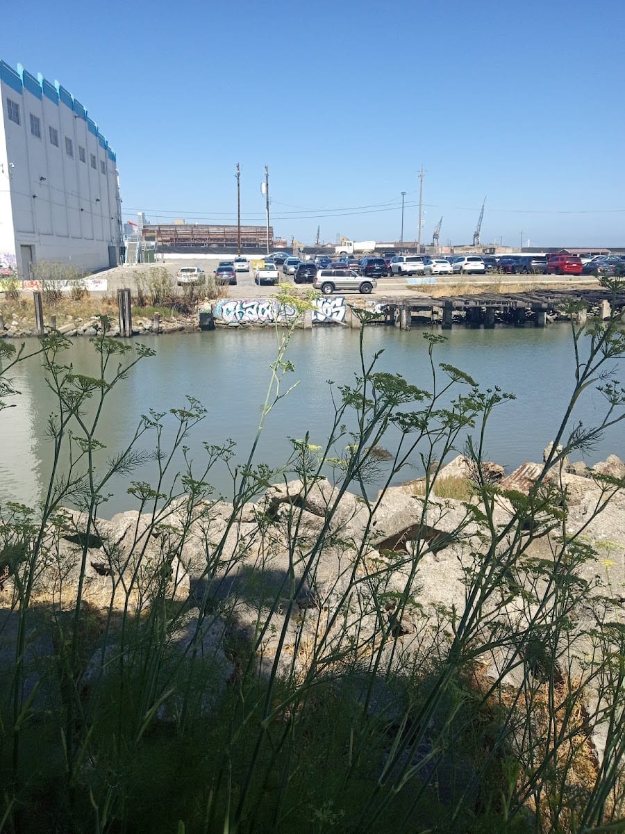 Warm Water Cove Park, photo 3