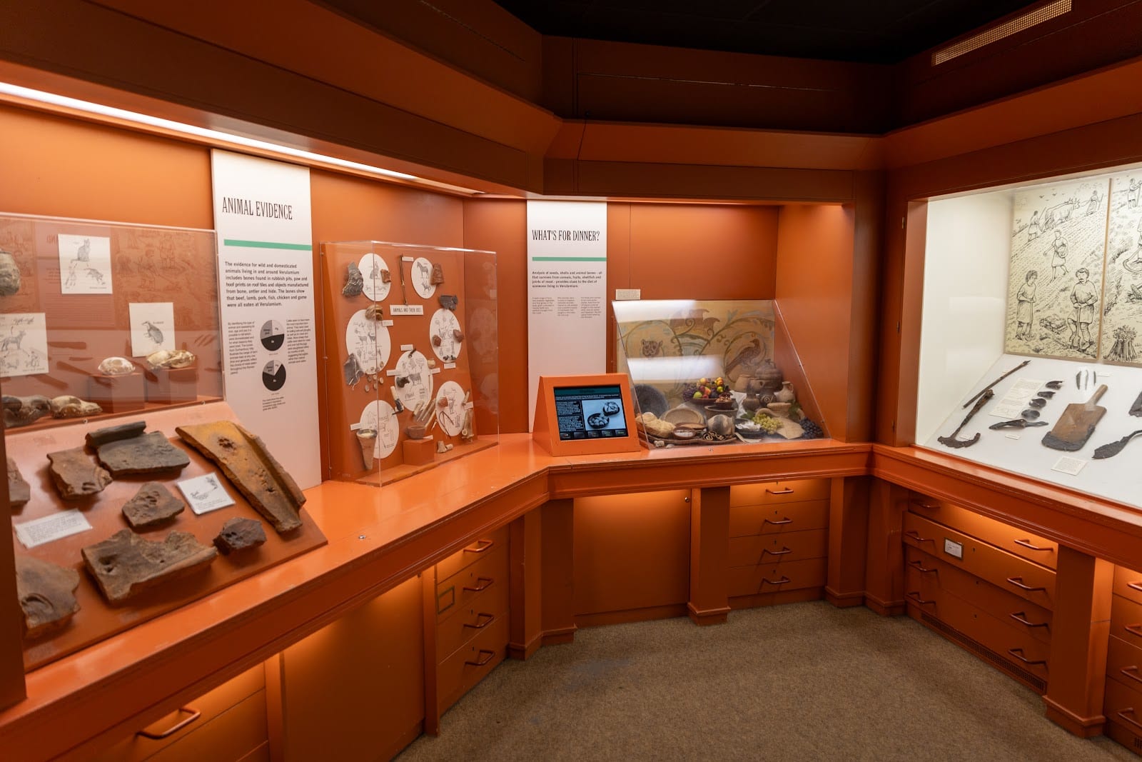 Verulamium Museum, photo 2