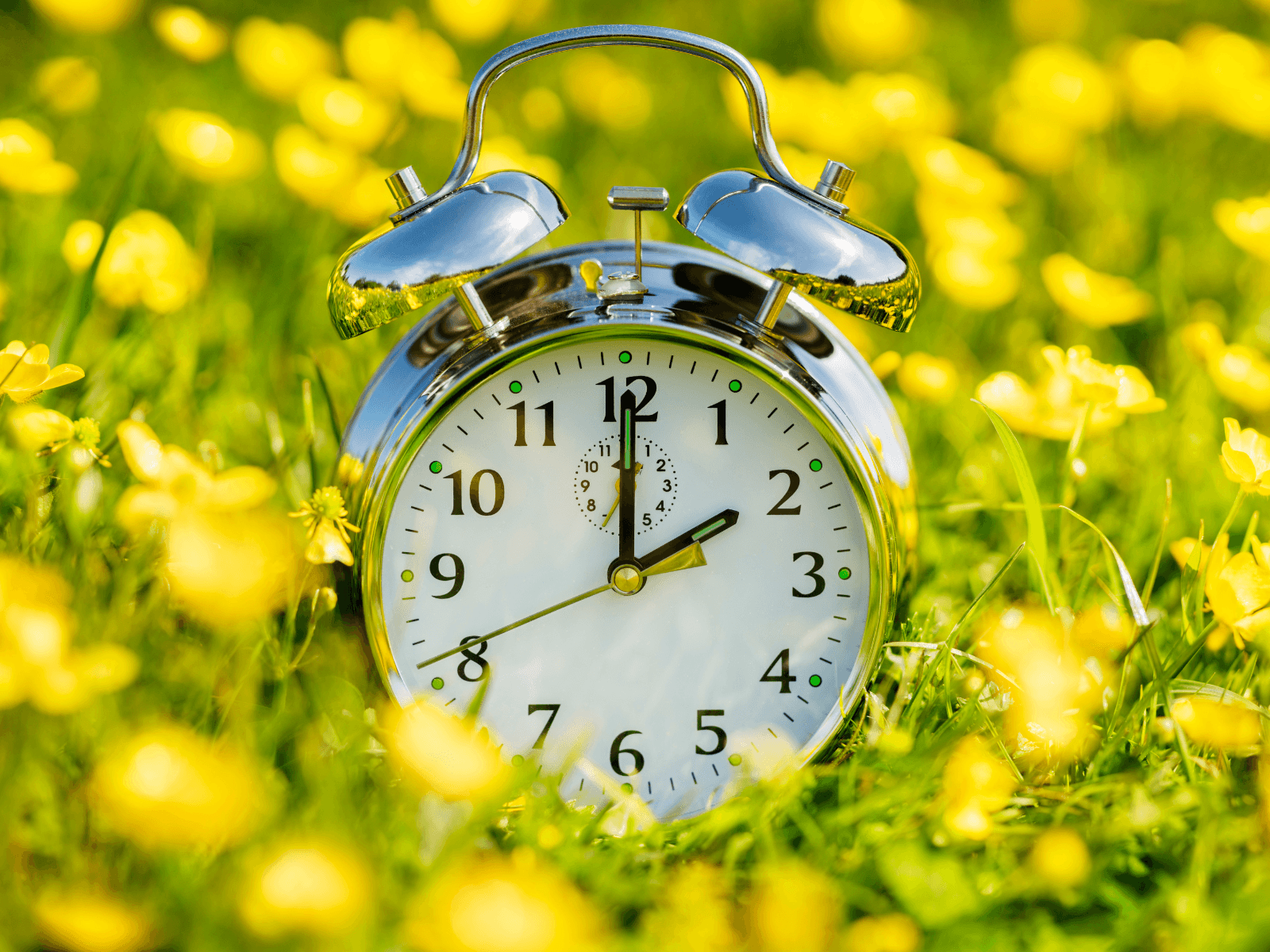 Are the Days of "Spring Forward" and "Fall Back" Numbered?
