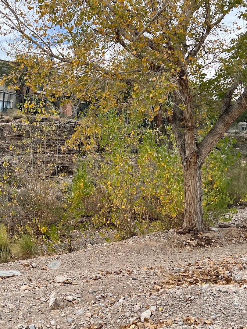 Cottonwood Canyon Trail Park, photo 3