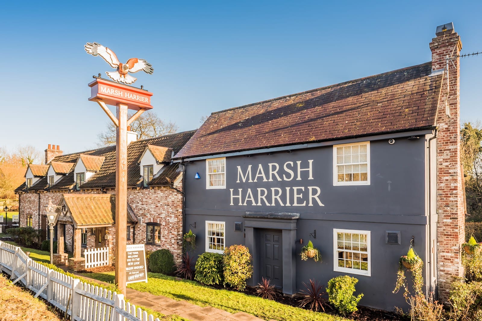 The Marsh Harrier, photo 2