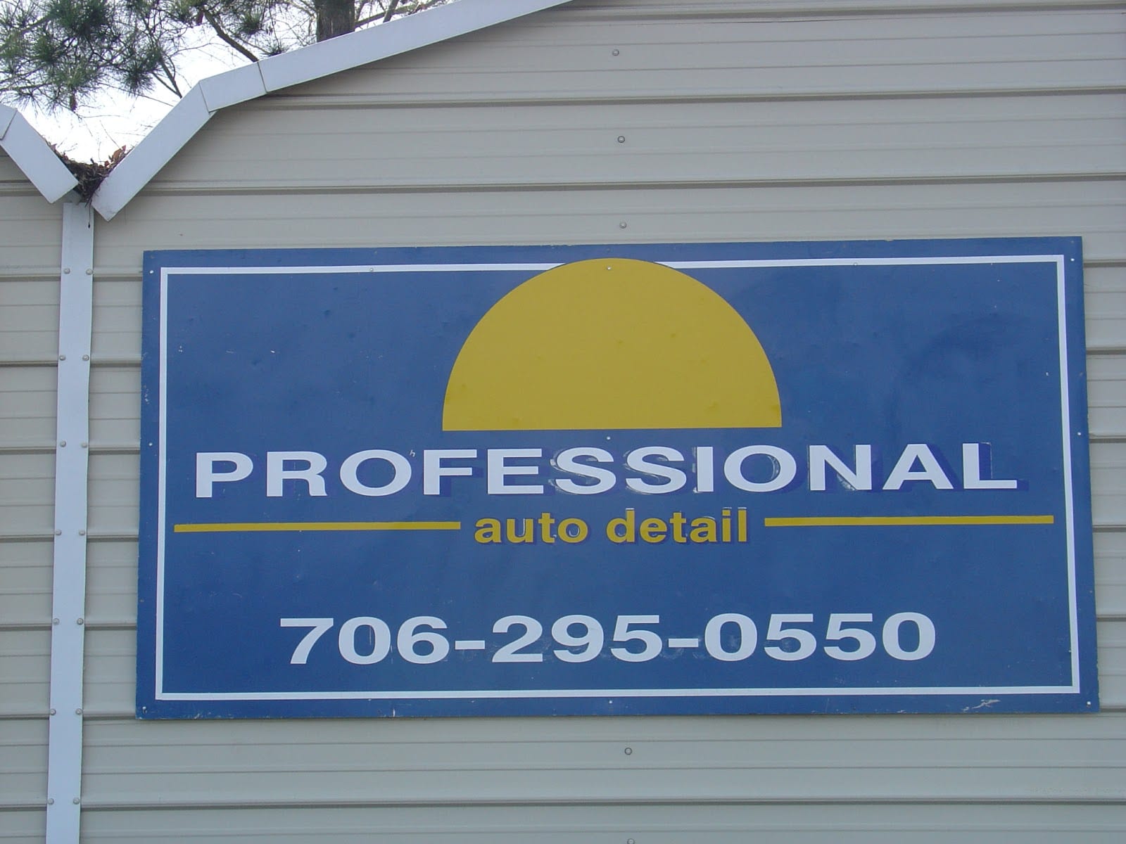 Professional Auto Detail & Services, photo 2
