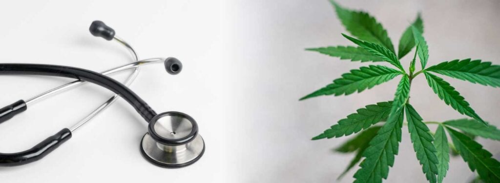 Dr. Cannabis Cards, photo 2