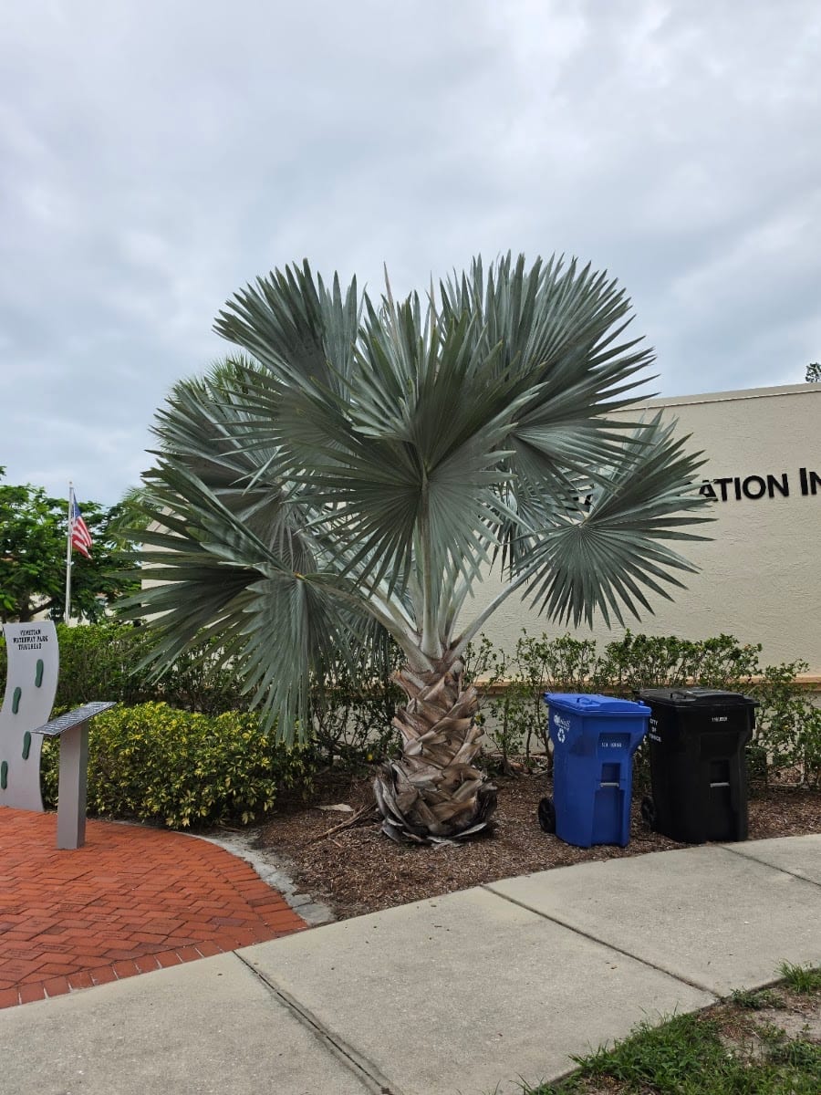 Venice Area Beautification Inc