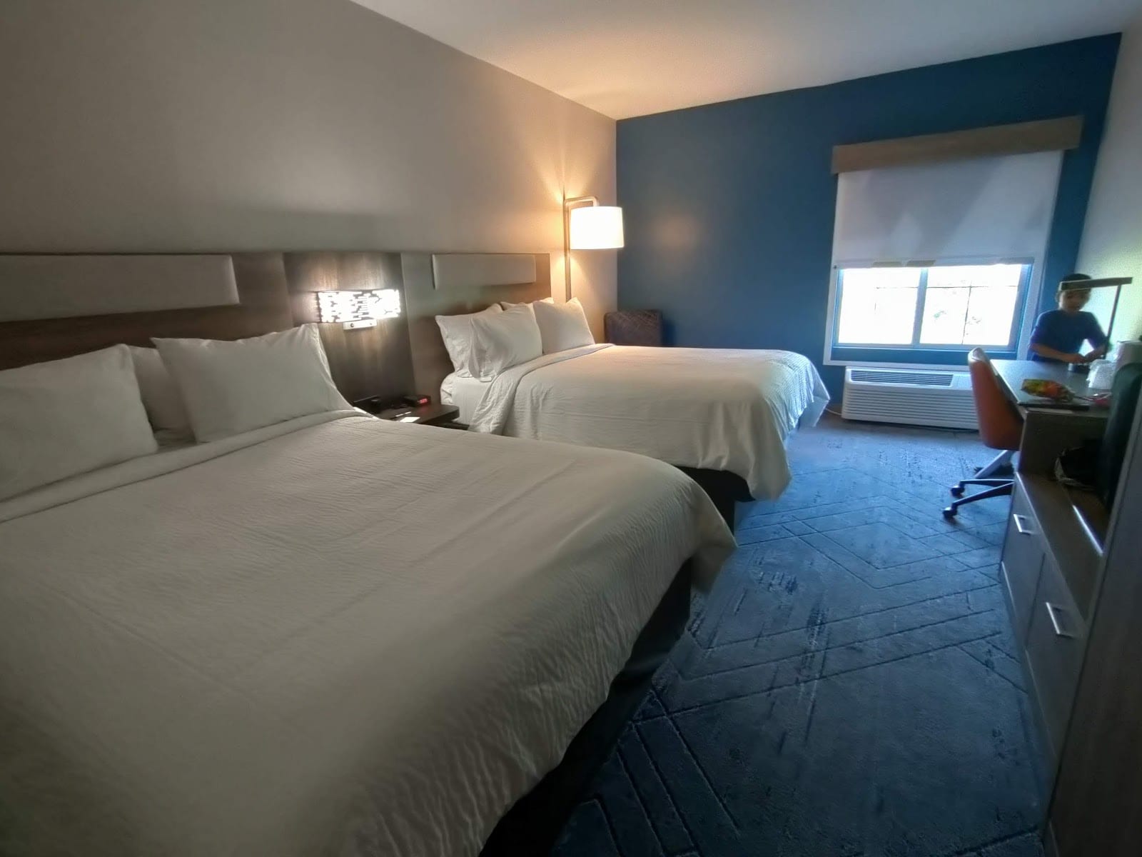 Hampton Inn & Suites Tampa-North, photo 4