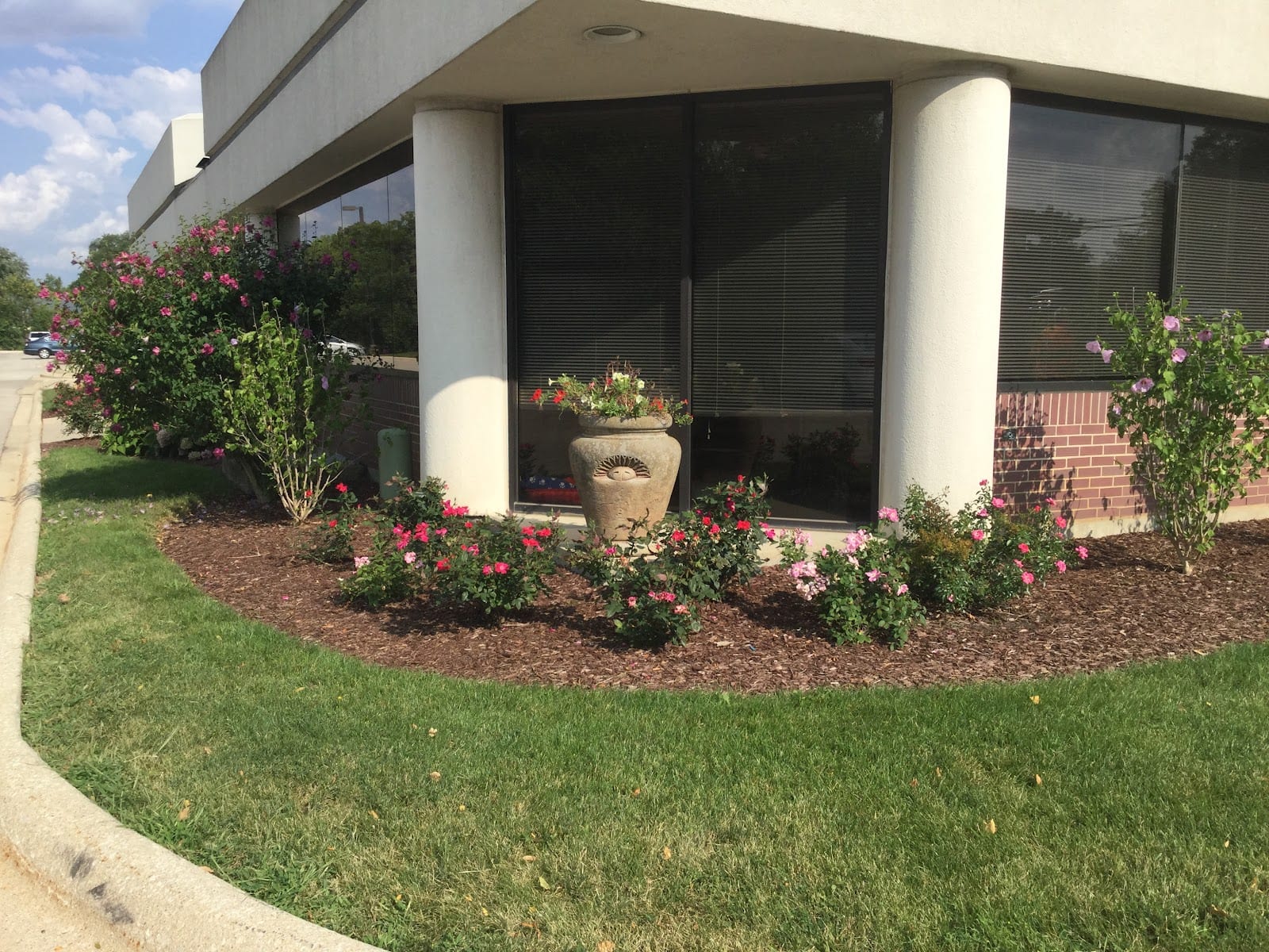 Dr. Dino's Dental Oasis