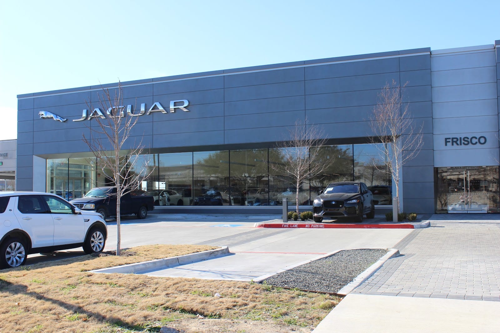 Jaguar Frisco, photo 2