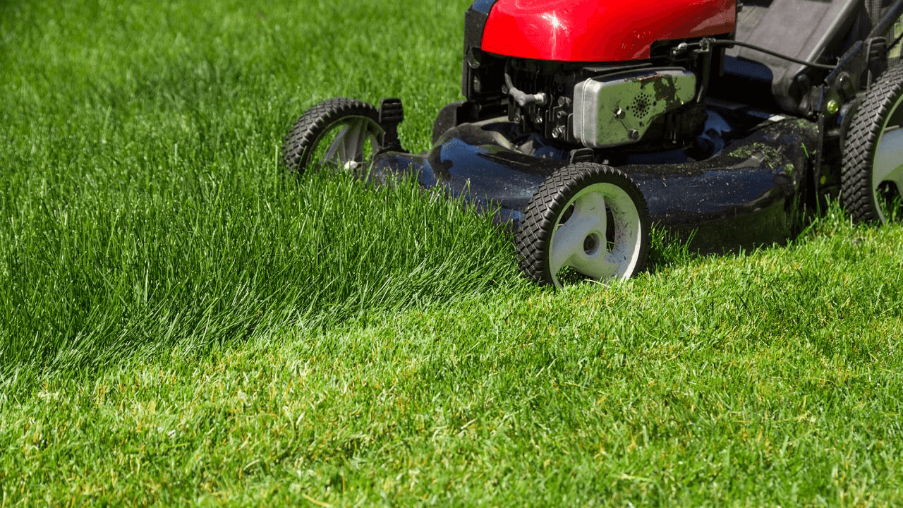 Max’s Lawncare, photo 4